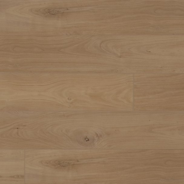COREtec ProPlus 50RLV1225 Dome Oak