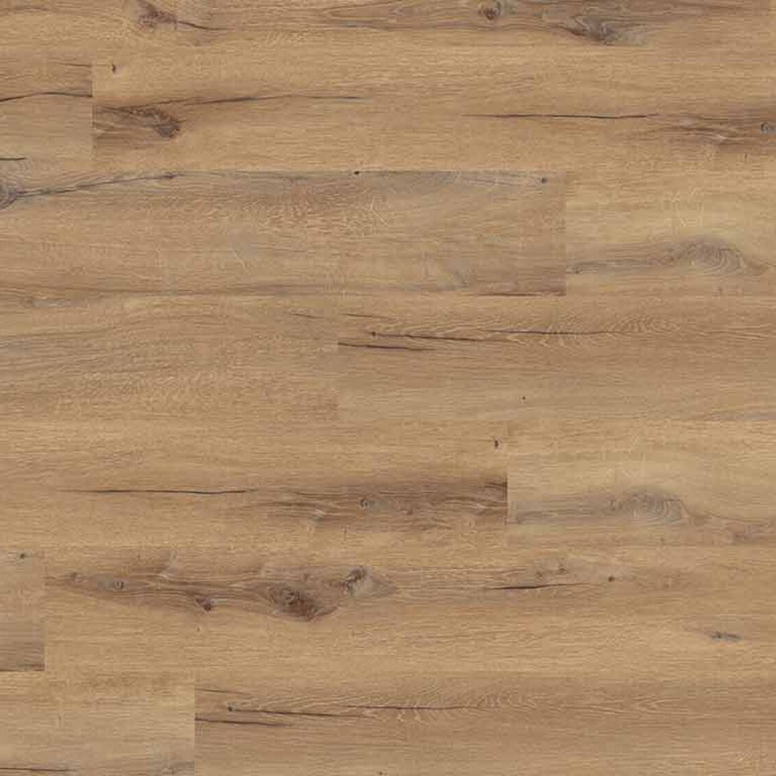 Creation 55 Cedar Brown 0850