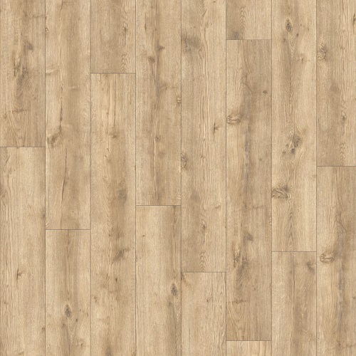 AVVIO - Major Oak 24279