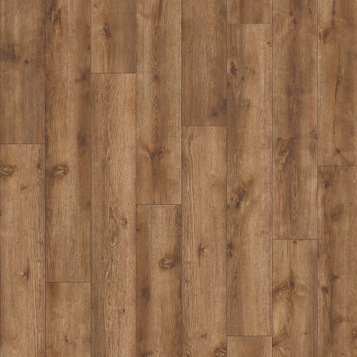 AVVIO - Major Oak 24847