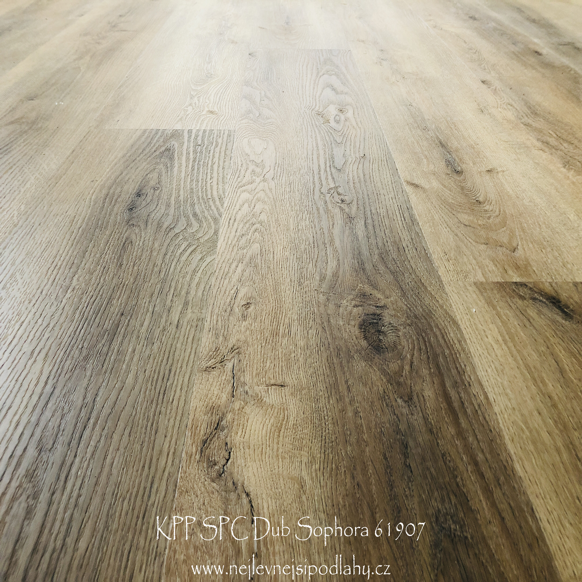 KPP X-CELLENT WOOD - Dub Sophora/Purna  62011